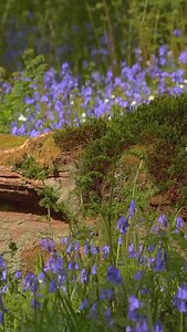 9K views · 44 reactions | You’ve all been asking, and 3 new shade...