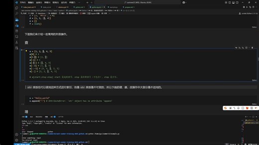 2025科协暑期基础技能培训——python