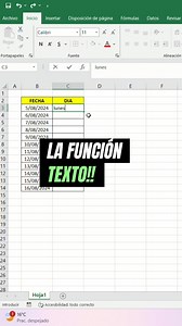 2.2K views · 55 reactions | Aprende a usar la función TEXTO en Excel....