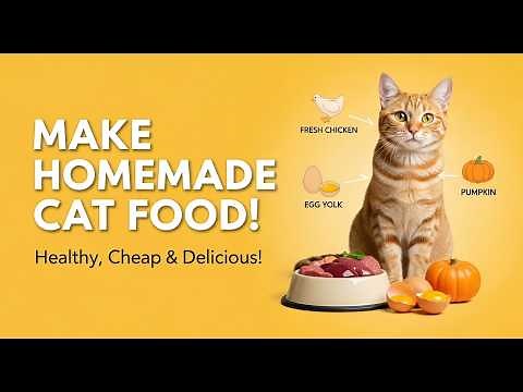 Homemade Cat Food | Make Healthy, Cheap & Delicious Meals for Your Cat!