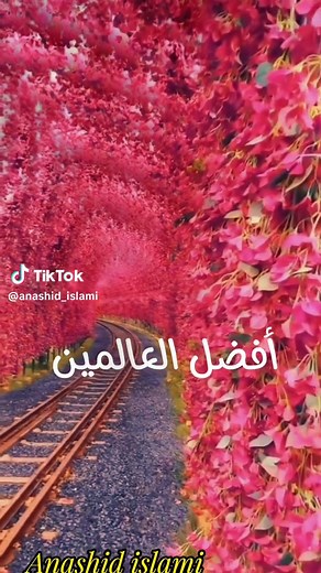 anashid_islami على TikTok