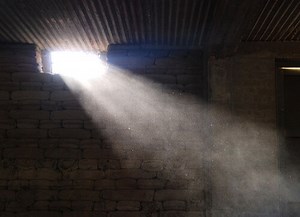 Genesis 2:18-25 ~ The Pattern for Marriage and Sexuality  — Dust in the light