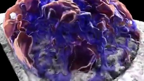 Hey y’all 👋 I need a little repost magic. 🔥The Solecki lab is recruiting MULTIPLE postdocs for a chromatin imaging project at St. Jude.This work sits at the intersection of live-cell imaging, neuronal cell biology, chromatin regulation, and quantitative image analysis — and the eye-popping video below shows exactly why it’s so exciting.This may be for you if you are: • A neurobiologist who wants to become DANGEROUS in cell biology 🧠 • A chromatin biologist who wants to ditch endpoint molecula