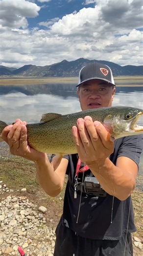 Gorgeous Rainbow Trout: Fishing At Eleven Mile Reservoir In Colorado: Catch And Release: #fishing