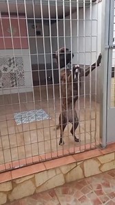 1.8K views · 130 reactions | RINUCIA DI PROPRIETÀ ❗️❗️ Mollata a 4...