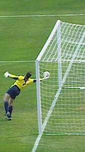 616K views · 2.8K reactions | One of the greatest saves in FA Cup history   #OnThisDay in 2003, David Seaman produced an incredible save in Arsenal's semi-final win against Sheffield United 理 | The Emirates FA Cup | Facebook