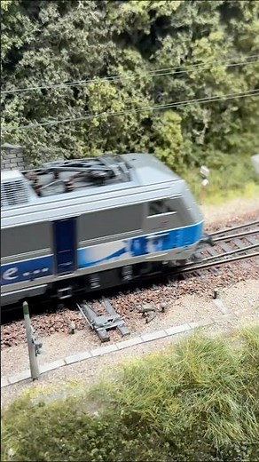 La Fête du Train au Pays des Grands Noms Meursault 2025 #modeltrains #trains #modelrailway #diorama