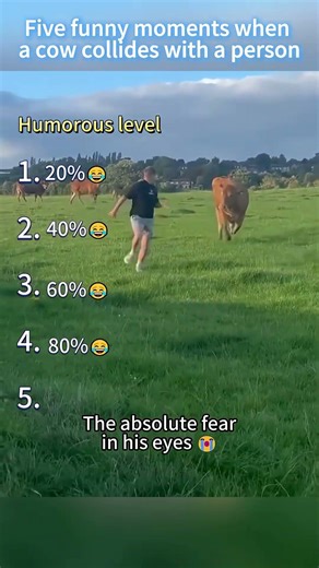 The ox decided to solve the problem with brute force. 🐮😭🤣#funny #cow #animals #funnyvideos #fyp