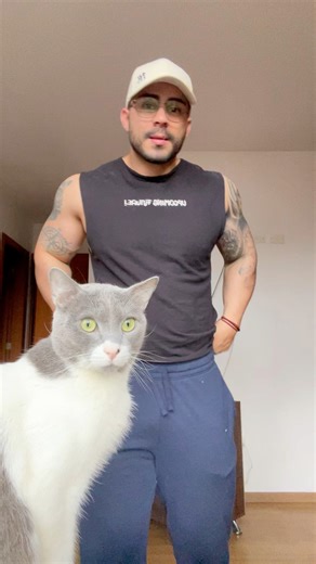 ningún gato fue obligado hacer este video🫠, salúdenlo por favor🙋🏻‍♂️ #reels | Jeff Vivas