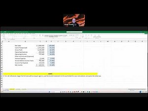 Chapter 17 Excel Homework Help