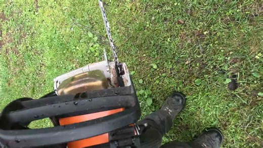 Large Tall Birch Trees Cut Down Right Next to a Home