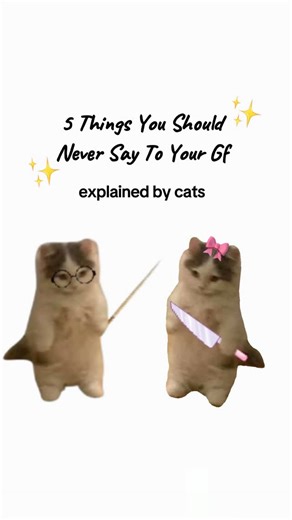 kitty explains on Instagram: "Things You Should Never Say To Your Girlfriend explained by cats :) #catanimation #girlfriend #cats #kittycat #realkittyexplains"