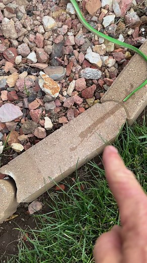 Had to be 9 feet long #huge #big #jump | Jason the Great