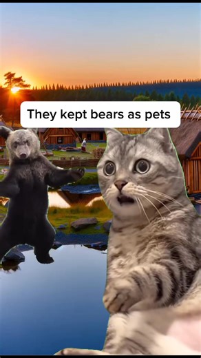 More facts about the Vikings you definitely know #fyp #History #historylovers #ancienthistory #worldhistory | Simply Stated History