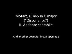 Mozart and Haydn: most sublime moments from string quartet slow movements