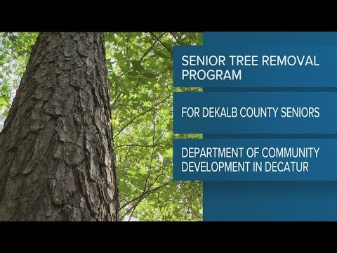 DeKalb program offers tree removal for seniors