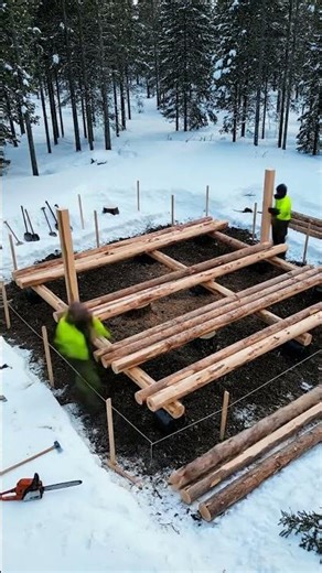 This Alone Log Build is Absolutely Insane #timelapse #survival #bushcraft