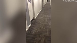 Colin Murray is named the new permanent host of Countdown