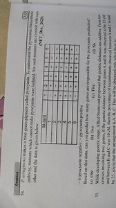 P. aeruginosa makes a blue-green pigment called pyocyanin. To u... | Filo