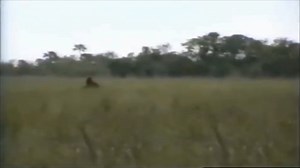 469K views · 9.7K reactions | Has the legendary "Skunk Ape" finally been caught on camera? 勞 Heather conducts a test to see if the movements in this video might be human, or something else. #ExpeditionX tonight at 9p on Discovery! | Expedition Unknown | Facebook