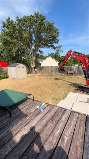  Professional Tree Removal Services | Safe, Fast & Affordable! 望...