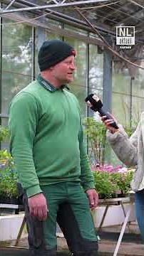 Forestry | Engwicht Tree Nursery brings floral diversity to the Branitz Garden Festival 2026