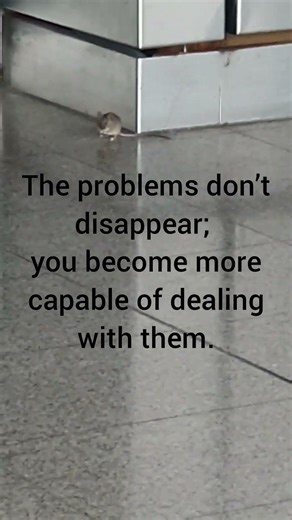 Life keeps testing you, but with time you learn how to stand your ground #mouse #problem #life