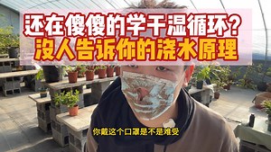 浇水进阶，别再傻傻的等土干了，没人教你的浇水底层逻辑