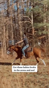 Training horses isn’t about knowing all the answers. It’s about learning how to ask better questions. And asking them in such a way that the horse can easly find the answer. That’s what we focus on during our two week apprenticeship… building thinking horsemen/women, not just riders who follow steps. If you’ve ever wondered what it would be like to truly immerse yourself in that process… then follow the link the comments below! Video of our one of our Trainers, Jacob Geiser, training a young hor