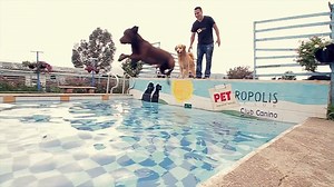 PETropolis Club Video Oficial Full HD