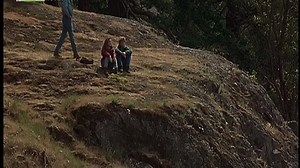 Free Willy 2 - The Adventure Home