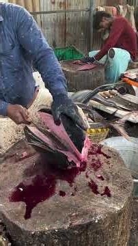 Massive Huge Fish Cutting 😱 | Giant Fish Cutting Skills 🔪🐟