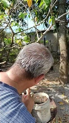 El loco Trump atacando a #iran y yo en directo de BONSAI. Que locura😱