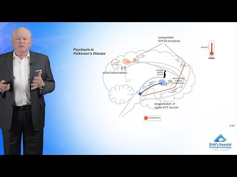The Serotonin Hypothesis of Psychosis