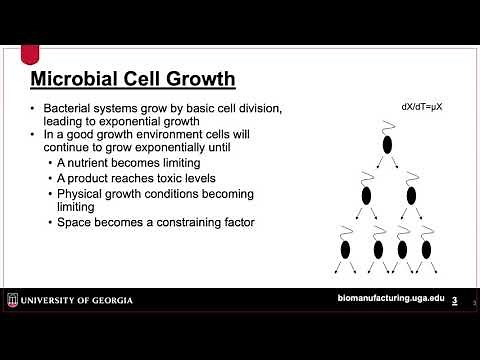Fed Batch Fermentation