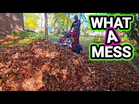 Owner was DESPERATE to get it CLEANED UP before her party!