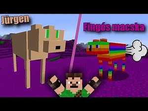 Jürgen a minecraftban! 🐱