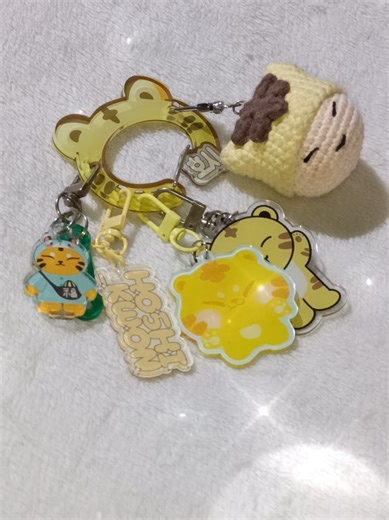 I finally got the TamTam Carabiner from @creatistudioph 🐯🧡 IG username keychain 🤭 I also got one of the keychains from @lyannesy 🤗🫶 #hoshi #tamtam #horangdan #horanghae #anikanik