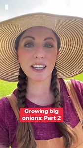Tips for growing big onions: part 2. #easygardentips #growingonions #suburbangarden #backyardgarden #mastergardener | From Dream to Seed