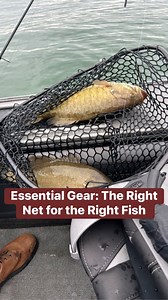 FISHING NETS 101: how to pick the RIGHT net for every situation. ✅All these nets are available at FishUSA & linked in comments. 👉🏼Patriot net: Durable but heavier. Rubber coated. Great for catch and release. Best for walleye fishing. Hooks won’t catch. 👉🏼Flagship net: Versatile. Lightweight yet durable. Adjustable handle length. Not ideal for catch and release. 👉🏼Stream net: Bigger hoop and extended range. Small, easy to carry & lightweight. 👉🏼Beckman net: Best all-around. Fish-friendly