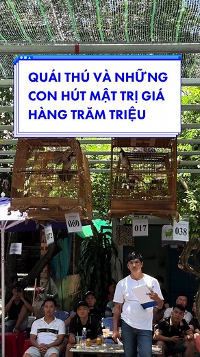 Bird Auction Event: Discover Exotic Parrots and More