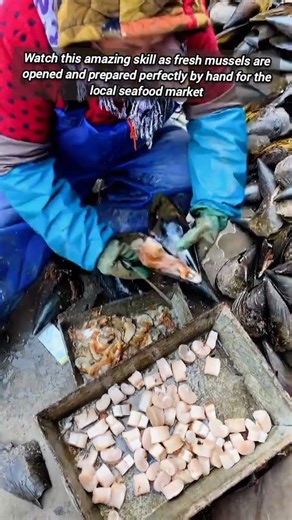 Fast And Professional Way To Open Fresh Giant Mussels