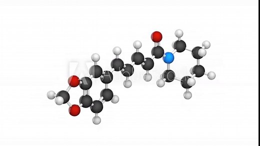 Piperine is the alkaloid responsible for the pungency of black pepper and long pepper. C17H19NO3. Chemical structure model: Ball and Stick. 3D render. Seamless loop. White background