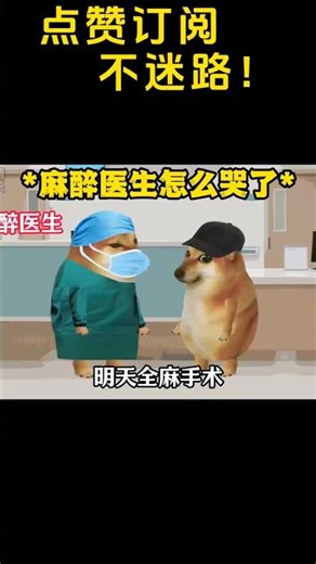 他怎么哭了呢. #cheems小剧场 #搞笑 #cheems #cheems
