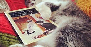 Woman Hopes to Open a 'Cat Cafe' in Alexandria