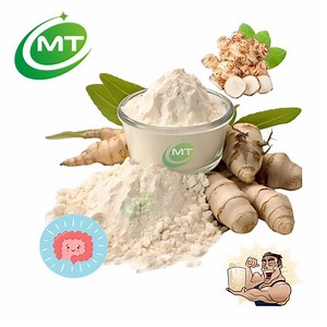 [Hot Item] Dietary Supplement Digestive Health Chicory Extract Organic Inulin Root Powder 90% Inulin Powder