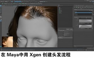 【功能】在 Maya中用 Xgen 创建头发流程