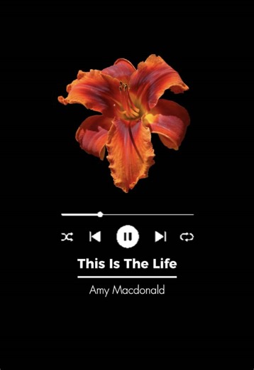 Nostalgic Vibes: Exploring Lyrics of This Is The Life