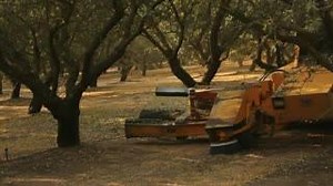 6.9K views · 47 shares | California Almonds on Reels | Facebook