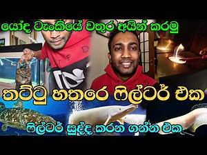 Fish Tank Filters Clean කිරීම + ගෙදර වැඩ Full Day Vlog 🐟🏡”